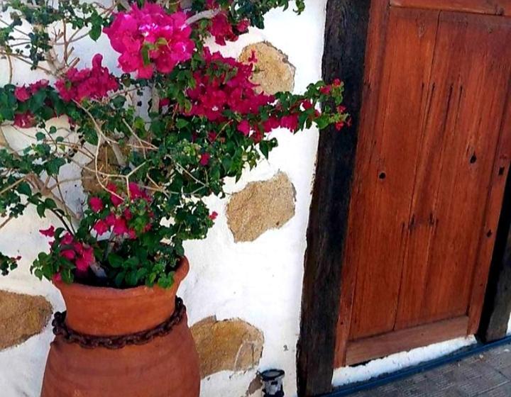 Casa Rural Alessia With Jacuzzi ,Garden & Swimming Pool Santa Cruz de Tenerife Eksteriør billede